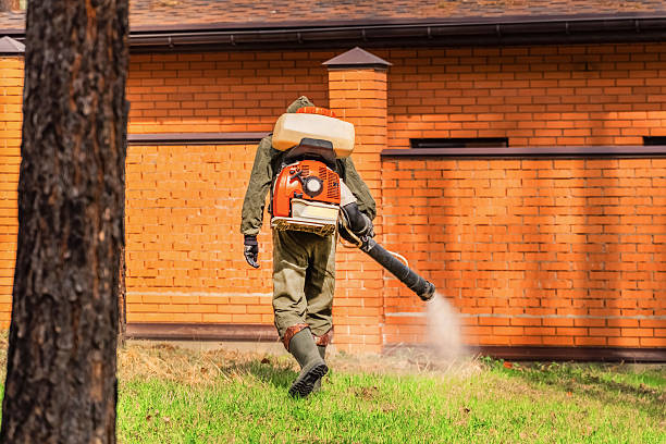 Trusted Termite Control service in Kissimmee, FL - Nex Pest Control